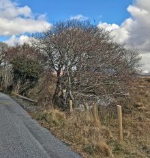2 Major New Extensions of the Connemara Greenway now firmly on the Cards